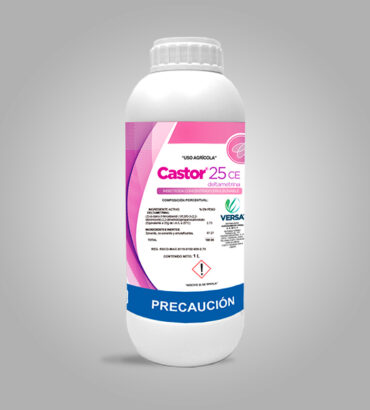 Castor
