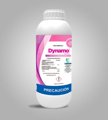 Dynamo