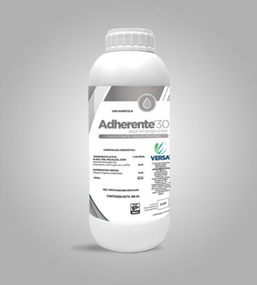 Adherente