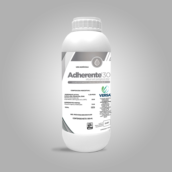 Adherente
