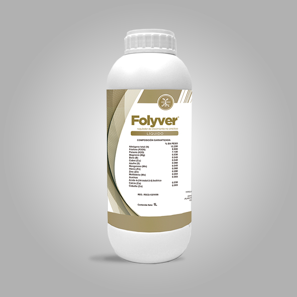 Folyver