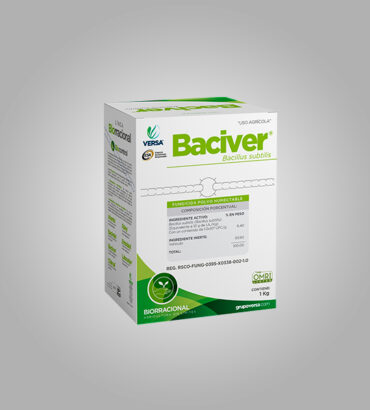 Baciver