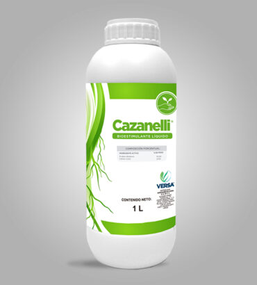 Cazanelli
