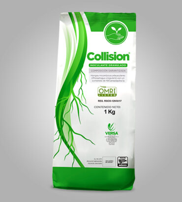 Collision