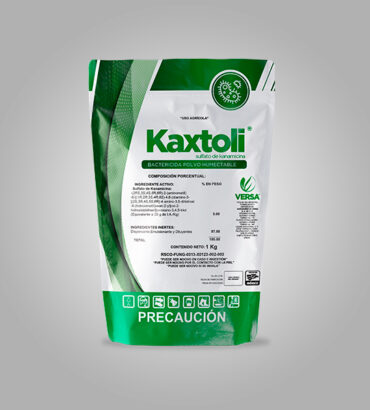 Kaxtoli