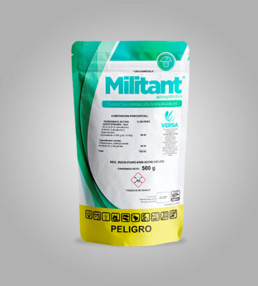 Militant