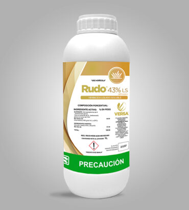 Rudo