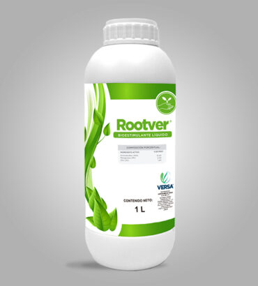 Rootver