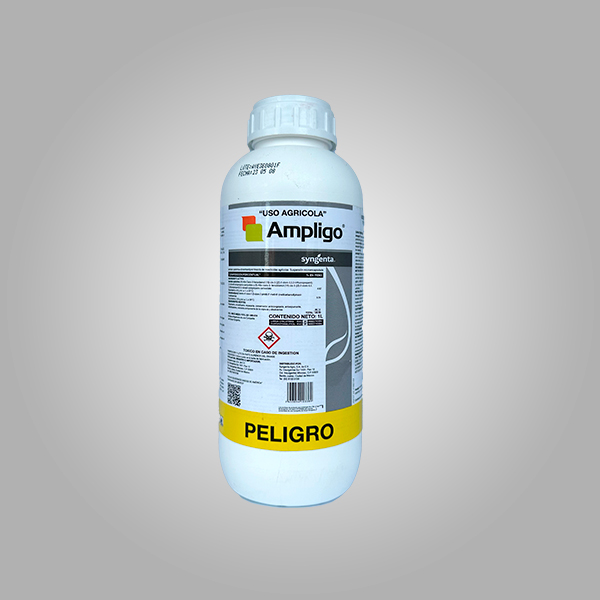 Ampligo