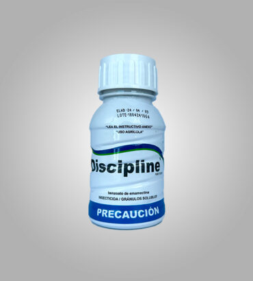 Discipline