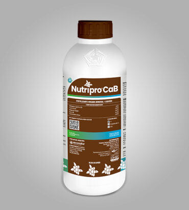 Nutripro CaB