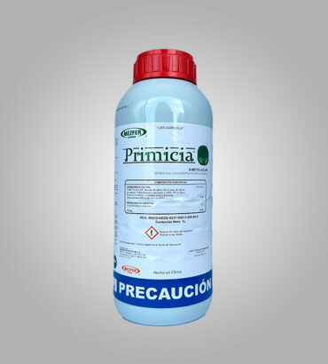 Primicia