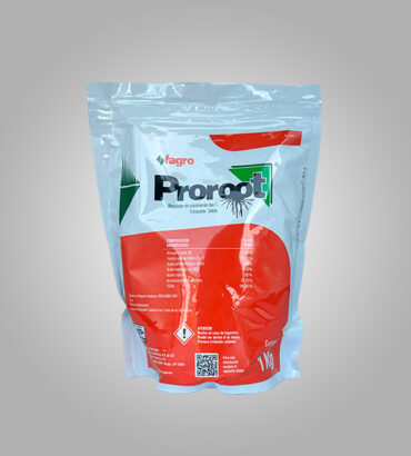 Proroot