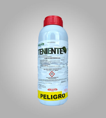 Teniente